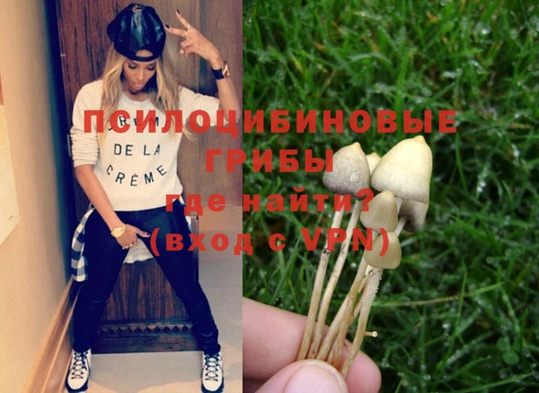 хмурый Алексин