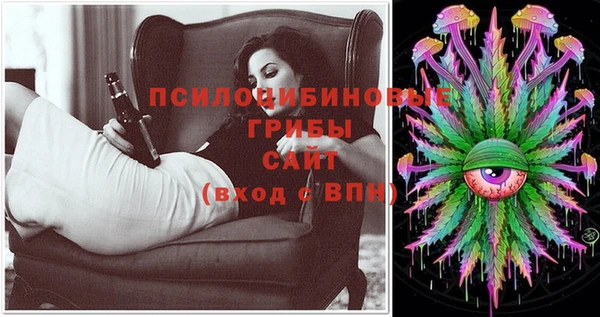 хмурый Алексин