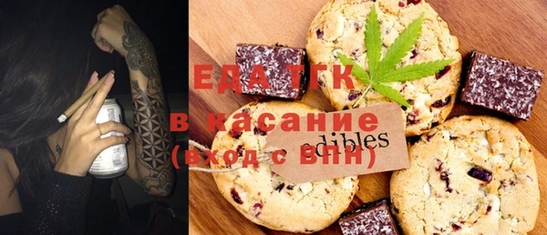 хмурый Алексин