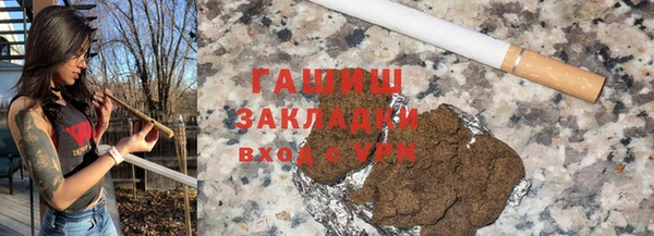 хмурый Алексин
