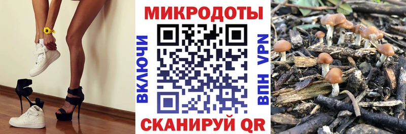 Псилоцибиновые грибы прущие грибы  Менделеевск 